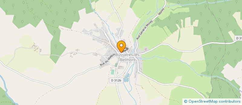 localisation de l'entreprise MONSIEUR JEREMY BONIFACE à CHAMPSEVRAINE