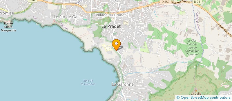 localisation de l'entreprise MONSIEUR JEREMY BRAEM  LE PRADET