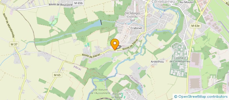 localisation de l'entreprise MONSIEUR JEREMY CELOTTO  CORNEBARRIEU