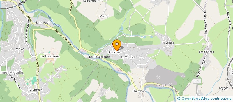 localisation de l'entreprise MONSIEUR JEREMY COLLIN  CONDAT-SUR-VIENNE