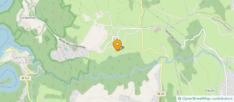 localisation de l'entreprise MONSIEUR JEREMY CONIGLIO  SAINT-ETIENNE