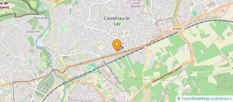 localisation de l'entreprise MONSIEUR JEREMY DOMENECH à CASTELNAU-LE-LEZ
