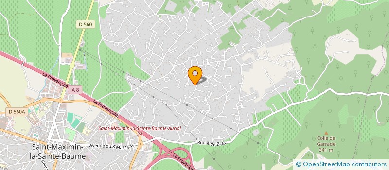 localisation de l'entreprise MONSIEUR JEREMY DUPUIS à SAINT-MAXIMIN-LA-SAINTE-BAUME