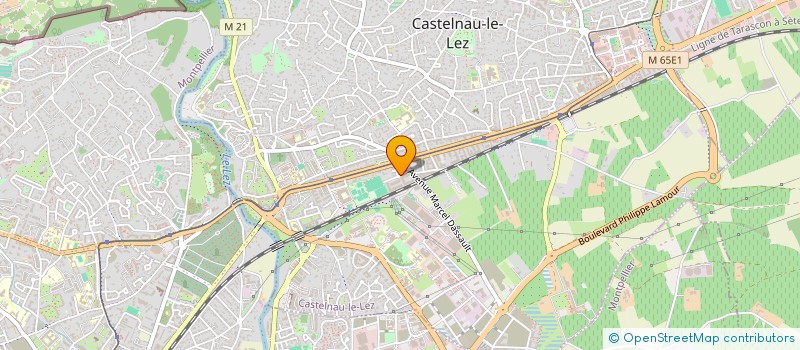 localisation de l'entreprise MONSIEUR JEREMY GENESTE à CASTELNAU-LE-LEZ