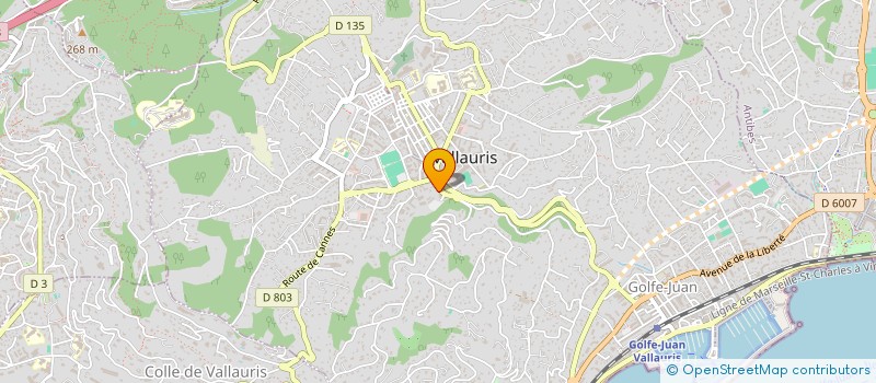localisation de l'entreprise MONSIEUR JEREMY GUENFOUD à VALLAURIS