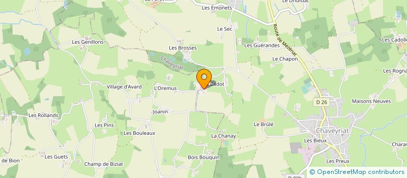 localisation de l'entreprise MONSIEUR JEREMY LABRUYERE à CHAVEYRIAT