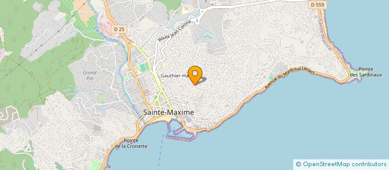 localisation de l'entreprise MONSIEUR JEREMY LAMASSE à SAINTE-MAXIME