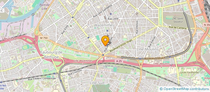 localisation de l'entreprise MONSIEUR JEREMY LEBEAU  BRAS-PANON