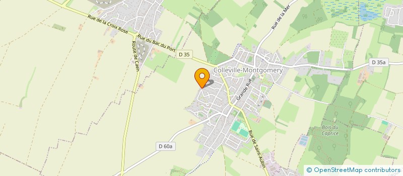 localisation de l'entreprise MONSIEUR JEREMY LEFRANCOIS  COLLEVILLE-MONTGOMERY