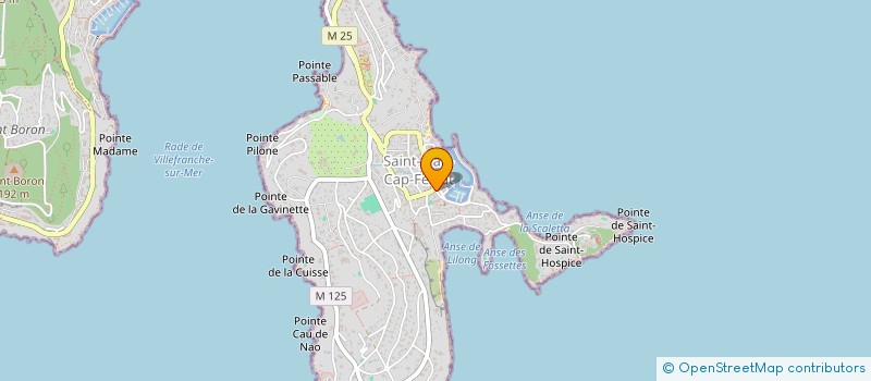 localisation de l'entreprise MONSIEUR JEREMY MAILLARD  SAINT-JEAN-CAP-FERRAT