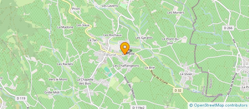 localisation de l'entreprise MONSIEUR JEREMY PAGET à FLEURIE