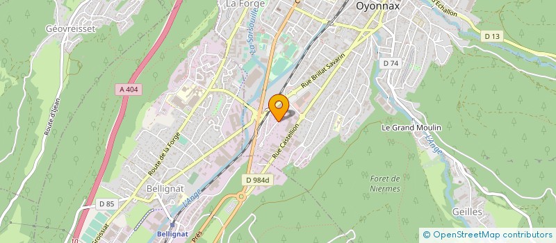 localisation de l'entreprise MONSIEUR JEREMY PIN à OYONNAX