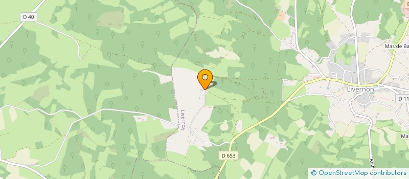 localisation de l'entreprise MONSIEUR JEREMY PINQUIE  LIVERNON