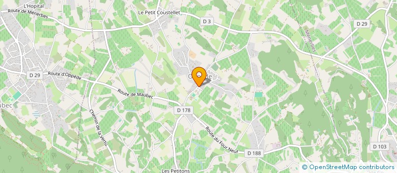 localisation de l'entreprise MONSIEUR JEREMY ROUBI  CHEVAL-BLANC