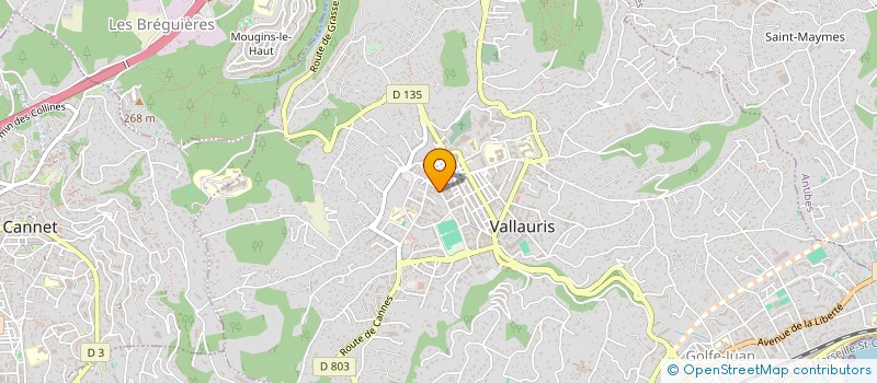 localisation de l'entreprise MONSIEUR JEREMY SEGUIN  VALLAURIS