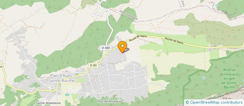 localisation de l'entreprise MONSIEUR JEREMY TACHE  PLAN-D'AUPS-SAINTE-BAUME