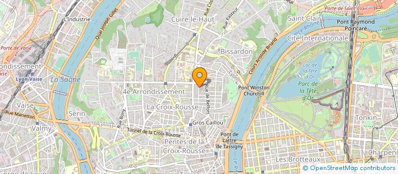 localisation de l'entreprise MONSIEUR JEREMY TORRES  LYON