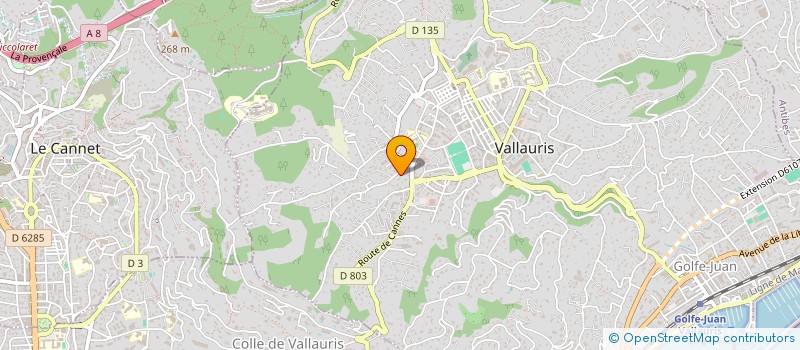localisation de l'entreprise MONSIEUR JEREMY VALENZISE à VALLAURIS