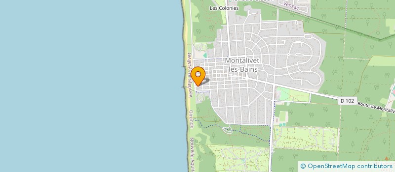 localisation de l'entreprise MONSIEUR JEREMY VERGEZ  VENDAYS-MONTALIVET