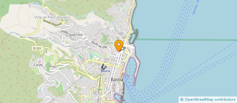 localisation de l'entreprise MONSIEUR JEREMY VINCENTI à BASTIA