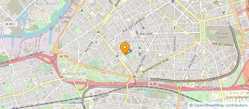 localisation de l'entreprise MONSIEUR JEROME BRULIN  LILLE