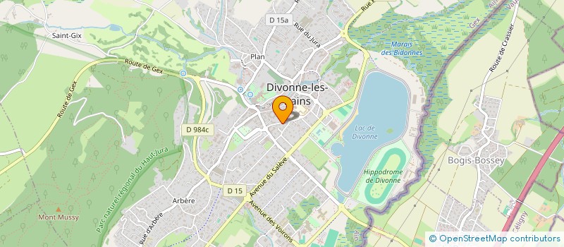 localisation de l'entreprise MONSIEUR JEROME COLIN  DIVONNE-LES-BAINS