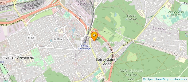 localisation de l'entreprise MONSIEUR JEROME DAVID à BOISSY-SAINT-LEGER