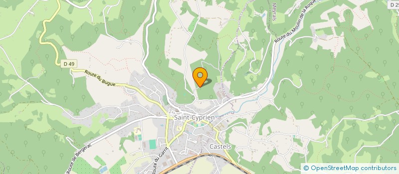 localisation de l'entreprise MONSIEUR JEROME DELMAS  SAINT-CYPRIEN