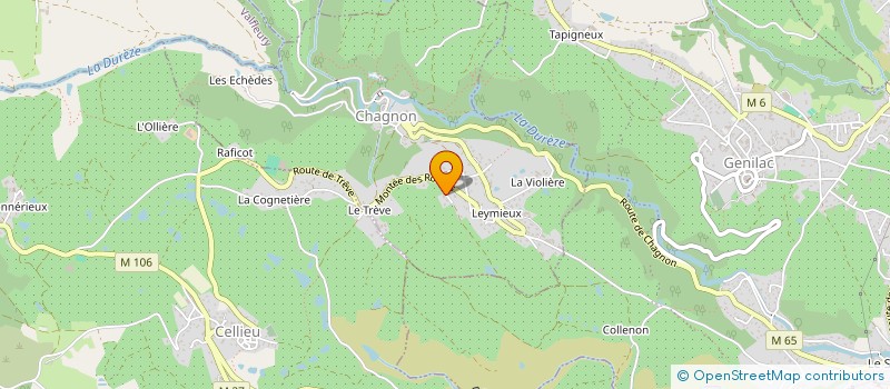 localisation de l'entreprise MONSIEUR JEROME FONTANIERE  CHAGNON