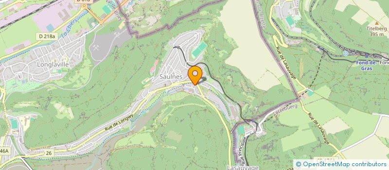 localisation de l'entreprise MONSIEUR JEROME HENRION  SAULNES