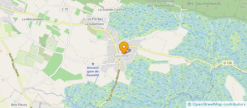 localisation de l'entreprise MONSIEUR JEROME JOYEAU  SAINT-GEORGES-D'OLERON