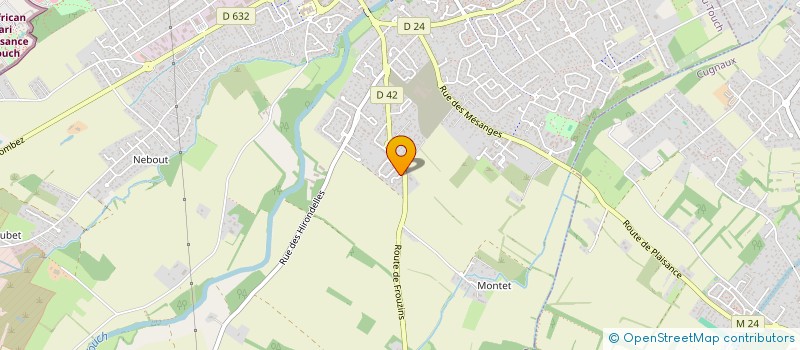 localisation de l'entreprise MONSIEUR JEROME LEFIEVRE  PLAISANCE-DU-TOUCH