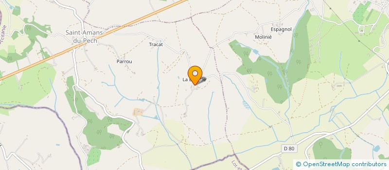 localisation de l'entreprise MONSIEUR JEROME LUSSAGNET  ST AMANS DU PECH