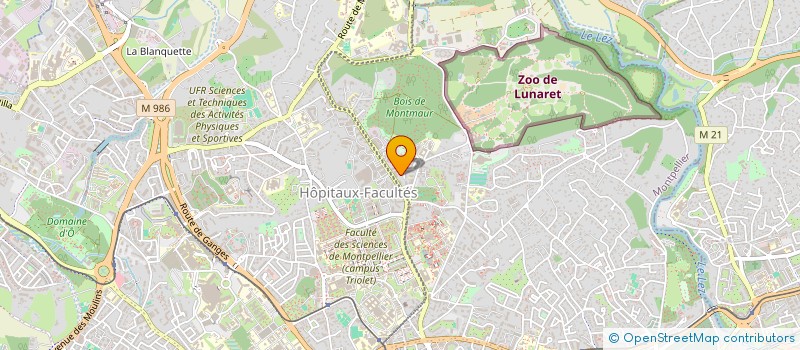 localisation de l'entreprise MONSIEUR JEROME MAIORANO à MONTPELLIER