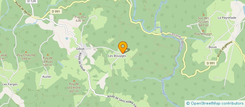 localisation de l'entreprise MONSIEUR JEROME MANIGAUT  CHAPELLE-SPINASSE