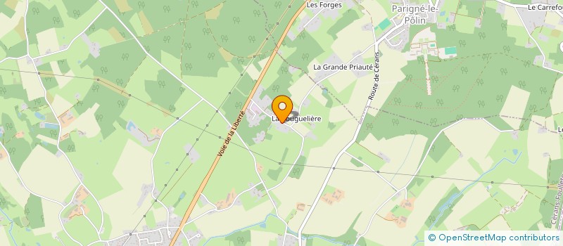 localisation de l'entreprise MONSIEUR JEROME MOGIS  PARIGNE LE POLIN