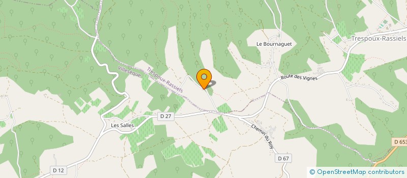 localisation de l'entreprise MONSIEUR JEROME OBRINGER  TRESPOUX-RASSIELS