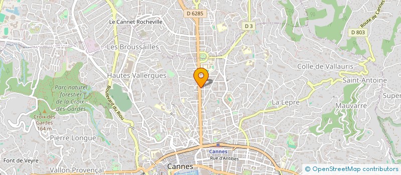 localisation de l'entreprise MONSIEUR JEROME PELLERIN  CANNES