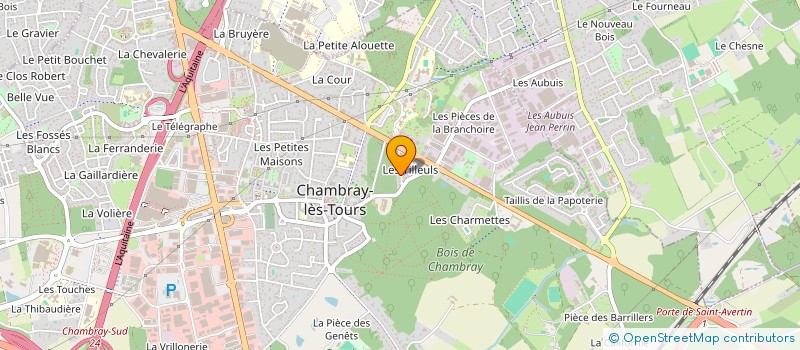 localisation de l'entreprise MONSIEUR JEROME PIQUIONNE  CHAMBRAY-LES-TOURS