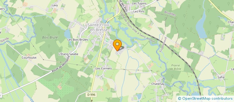localisation de l'entreprise MONSIEUR JEROME RENON à SAINTE-CROIX-EN-BRESSE