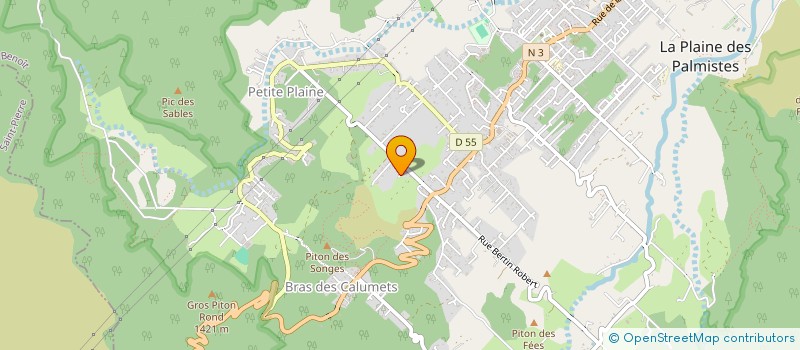 localisation de l'entreprise MONSIEUR JEROME ROUGEMONT  LA PLAINE-DES-PALMISTES