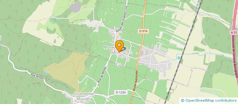 localisation de l'entreprise MONSIEUR JEROME SIMON  MOREY-SAINT-DENIS