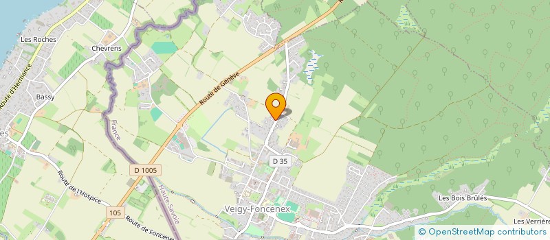 localisation de l'entreprise MONSIEUR JEROME TAMBURINI  VEIGY-FONCENEX