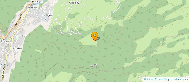 localisation de l'entreprise MONSIEUR JEROME TIRODE  THONES