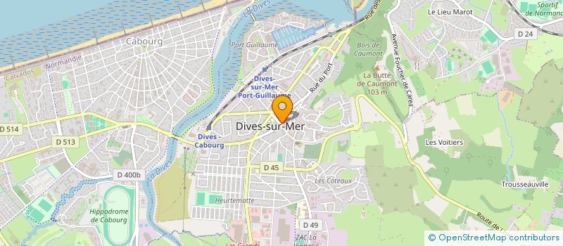 localisation de l'entreprise MONSIEUR JEROME VEDOVELLI à DIVES-SUR-MER
