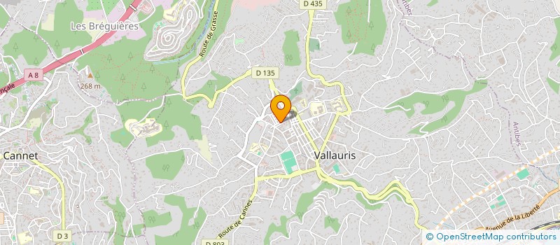 localisation de l'entreprise MONSIEUR JEROME VIGOT  VALLAURIS