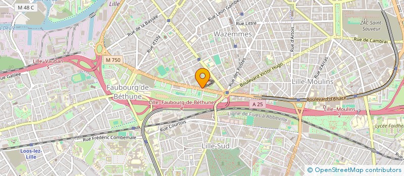 localisation de l'entreprise MONSIEUR JEROME WANNEPAIN  LILLE