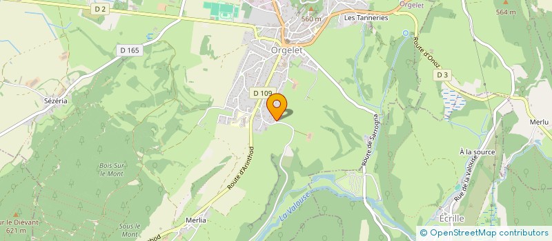 localisation de l'entreprise MONSIEUR JERRY CHAUDEY  ORGELET