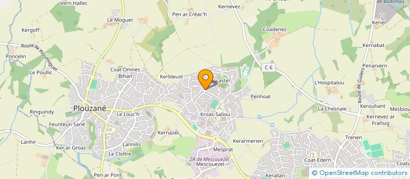 localisation de l'entreprise MONSIEUR JESSE OSMONT  PLOUZANE