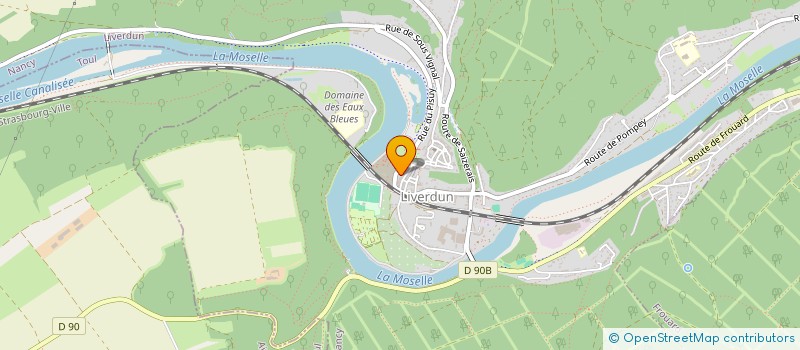 localisation de l'entreprise MONSIEUR JESSON WILD  LIVERDUN